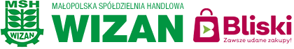 logo wizan